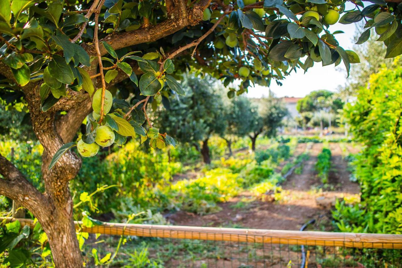 Il Gallo Con Gli Stivali Termoli Exterior foto